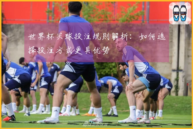 世界杯买球投注规则解析：如何选择投注方式更具优势