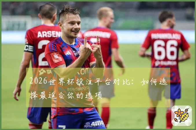 2026世界杯投注平台对比：如何选择最适合你的选项