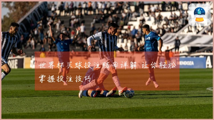 世界杯买球投注赔率详解 让你轻松掌握投注技巧