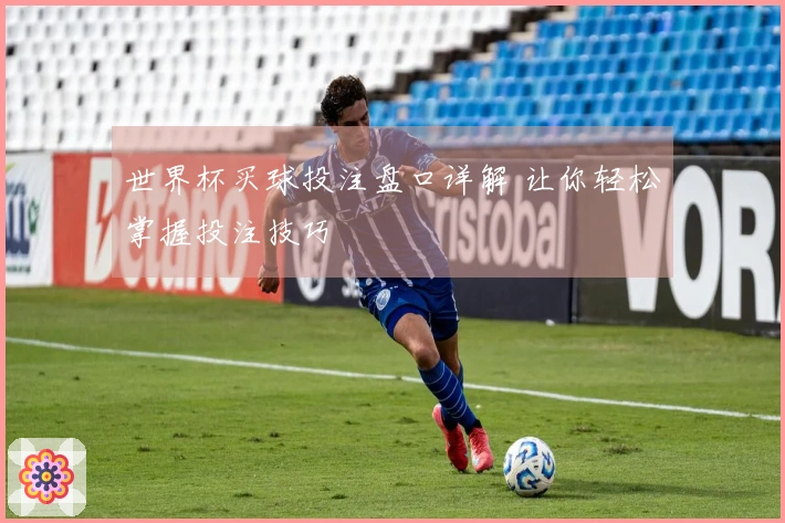 世界杯买球投注盘口详解 让你轻松掌握投注技巧