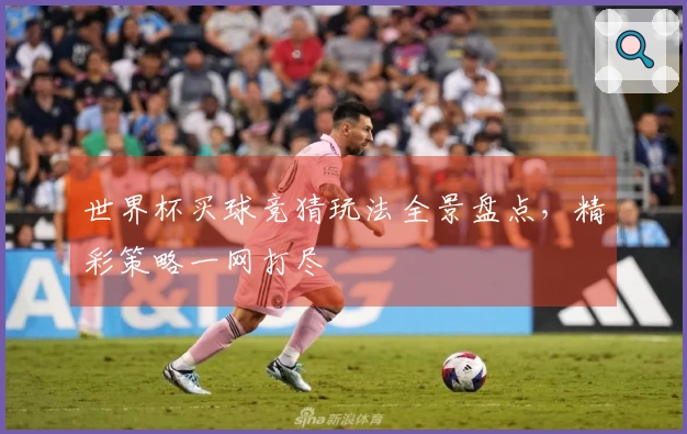 世界杯买球竞猜玩法全景盘点，精彩策略一网打尽