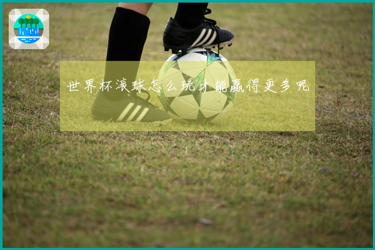世界杯滚球怎么玩才能赢得更多呢