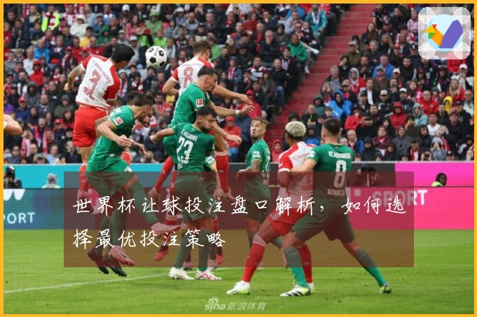 世界杯让球投注盘口解析，如何选择最优投注策略