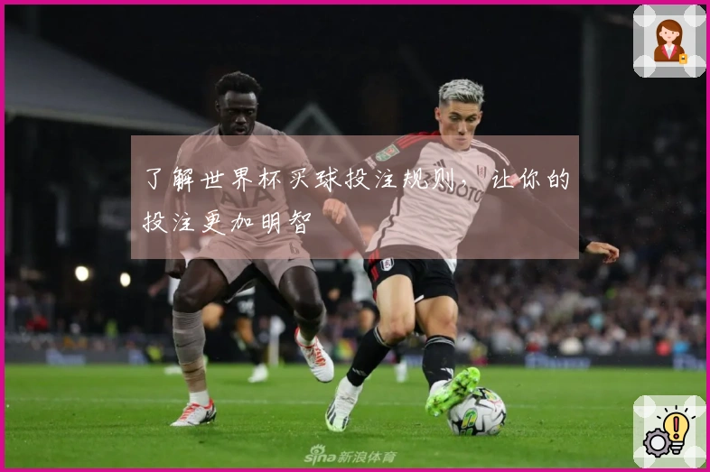 了解世界杯买球投注规则，让你的投注更加明智