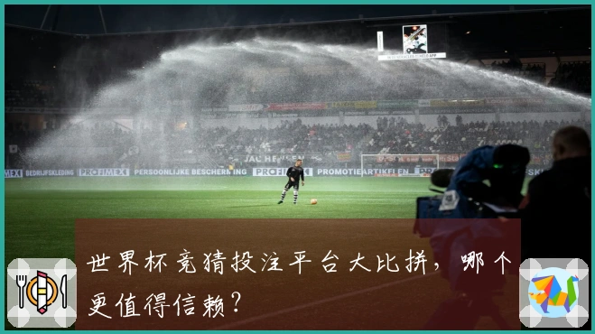 世界杯竞猜投注平台大比拼，哪个更值得信赖？