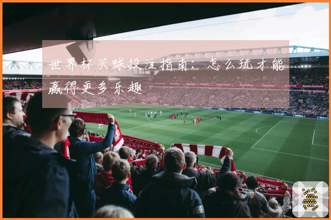 世界杯买球投注指南：怎么玩才能赢得更多乐趣