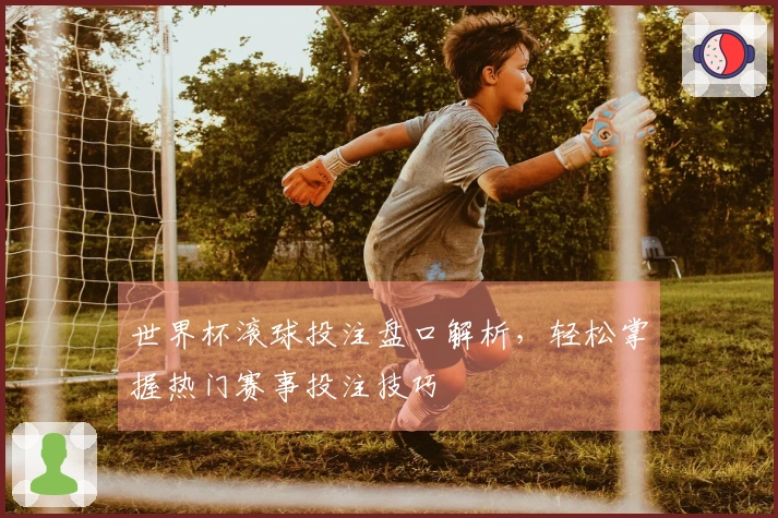 世界杯滚球投注盘口解析，轻松掌握热门赛事投注技巧